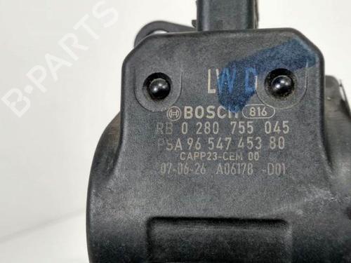 Pedal CITROËN C4 Picasso I MPV (UD_) 1.6 HDi | BP7832454I4 