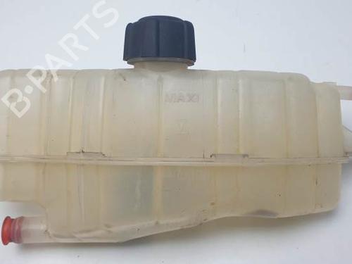 Expansion tank RENAULT CLIO III (BR0/1, CR0/1) 2.0 16V (BR0C, BR0K, CR0C, CR0K) | BP24930540C120 