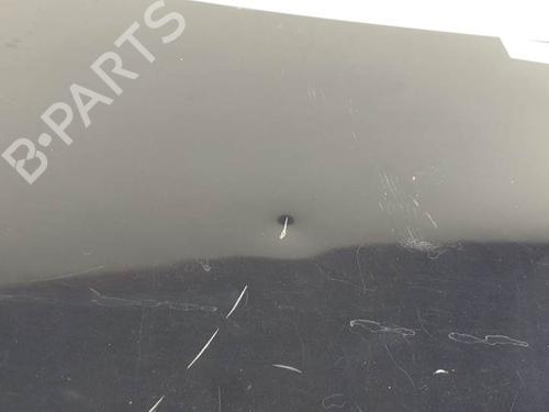 Tailgate BMW 3 (E90) 320 d | BP12376064C6 
