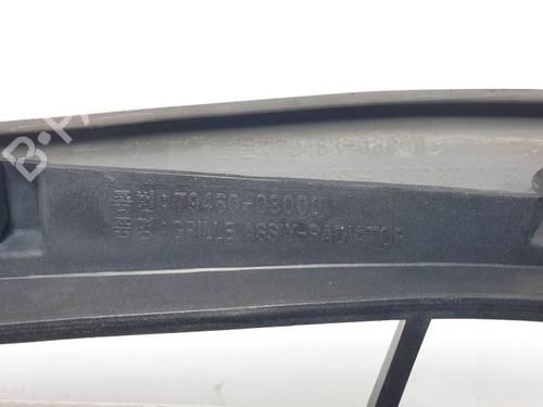 Grill SSANGYONG REXTON / REXTON II (GAB_) 2.7 Xdi | BP28065826C40 