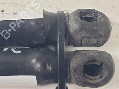 Tailgate lift support OPEL ASTRA H (A04) 1.7 CDTI (L48) | BP18269020C138 