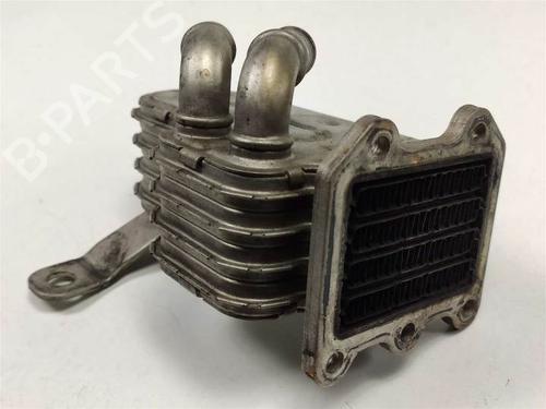 Used Egr CHRYSLER VOYAGER IV (RG, RS) 2.8 CRD (150 hp) 13955262