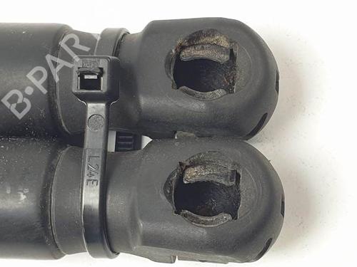 Tailgate lift support CITROËN C4 Picasso I MPV (UD_) 1.6 HDi 110 | BP24989846C138 