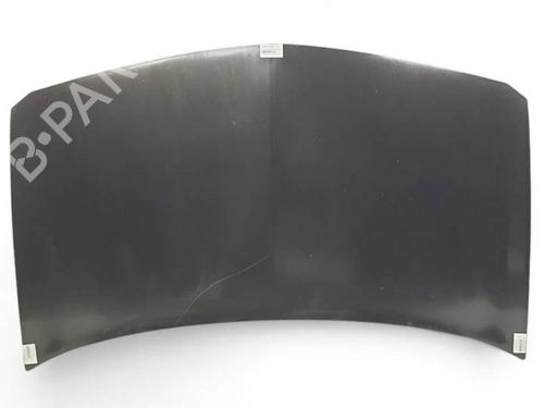 Used Hood RENAULT MEGANE II (BM0/1_, CM0/1_) 1.6 16V (112 hp) 20101996