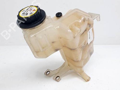 Used Expansion tank LAND ROVER RANGE ROVER SPORT I (L320) 2.7 D 4x4 (190 hp) 13462924