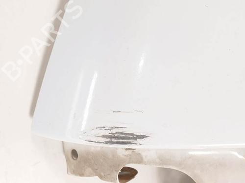 Left front fenders FORD TOURNEO CONNECT 1.8 TDCi | BP25117382C41 