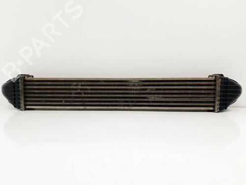 Intercooler MERCEDES-BENZ A-CLASS (W169) A 180 CDI (169.007, 169.307) | BP24499701M30 