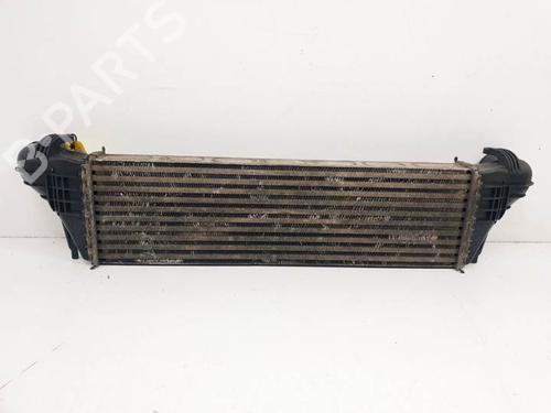 Intercooler BMW X5 (E53) 3.0 d | BP12561208M30 