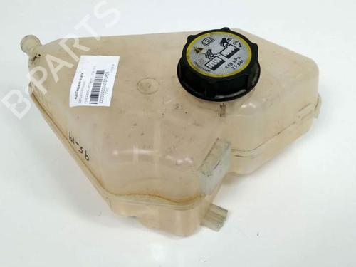 Expansion tank FORD FIESTA VI (CB1, CCN) 1.25 | BP7713903C120 