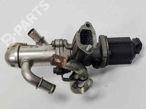 Used Egr Egr OPEL COMBO Box Body/MPV 1.3 CDTI 16V (69 hp) 6853886 6853886