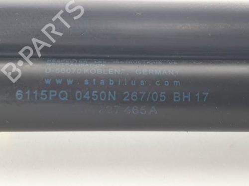 Tailgate lift support RENAULT MEGANE II Coupé-Cabriolet (EM0/1_) 1.9 dCi | BP13955623C138 