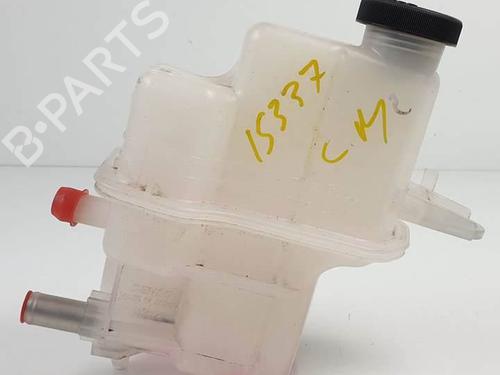 Used Expansion tank Expansion tank LEXUS ES (_Z10_, _A10_, _H10_) 300h (AXZH10, AXZH11) (178 hp) 25257999 25257999