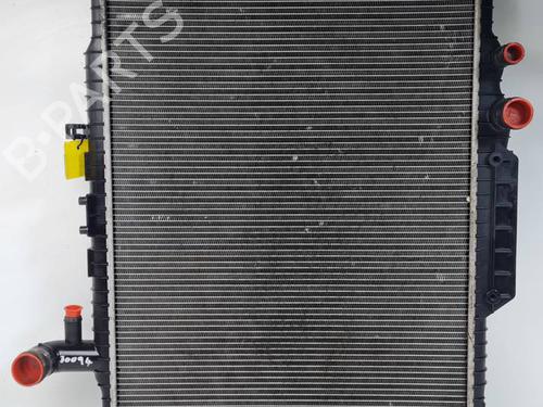 Køler LAND ROVER DISCOVERY IV (L319) 3.0 SDV6 4x4 (256 hp) 30142395