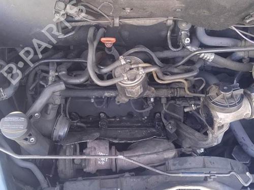  - Image 7