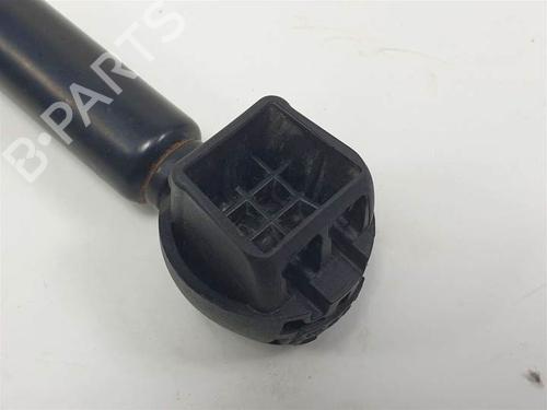 Hood lift support RENAULT MEGANE III Hatchback (BZ0/1_, B3_) 1.5 dCi (BZ09, BZ0D, BZ1W, BZ29, BZ14) | BP22274325C139 