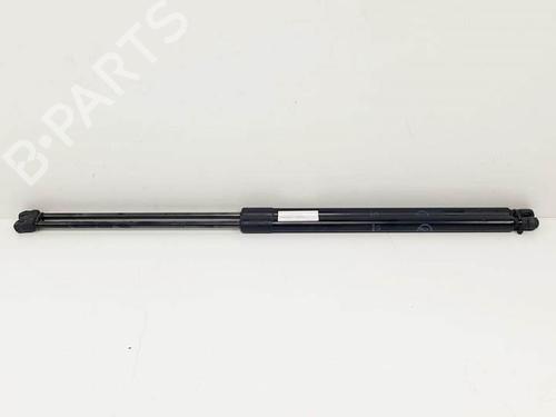 Used Tailgate lift support FORD GRAND C-MAX (DXA/CB7, DXA/CEU) 1.6 TDCi (115 hp) 25145811