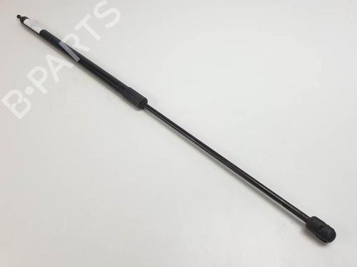 Used Hood lift support RENAULT MEGANE III Hatchback (BZ0/1_, B3_) 1.6 16V (BZ0H) (101 hp) 24915854