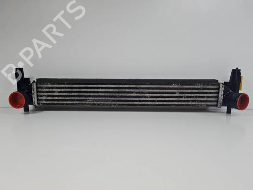 Intercooler Intercooler VW POLO V (6R1, 6C1) 1.2 TDI (75 hp) 34518129 34518129
