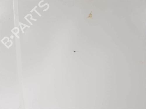 Left slide door CITROËN JUMPY II Van 2.0 HDi 120 | BP11051427C74 