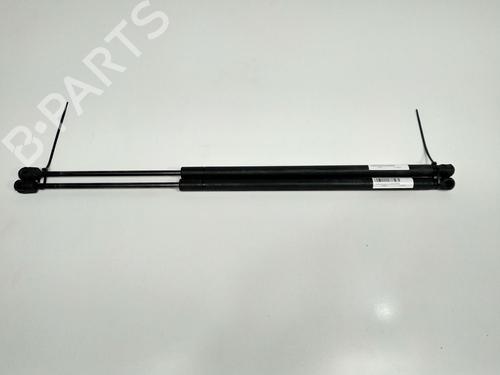 Amortecedor do capot PEUGEOT PARTNER MPV (5_, G_) 1.9 D (69 hp) 13954268