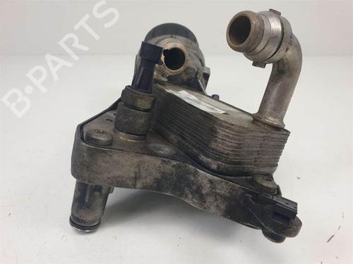 Oil radiator FIAT BRAVO II (198_) 1.6 D Multijet (198AXH1B) | BP13955454M33 