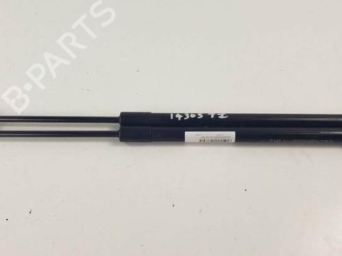 Used Tailgate lift support CHEVROLET CAPTIVA (C100, C140) 2.2 D 4WD (184 hp) 18653543