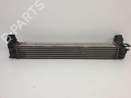 Used Intercooler Intercooler RENAULT MEGANE III Hatchback (BZ0/1_, B3_) 1.5 dCi (BZ09, BZ0D, BZ1W, BZ29, BZ14) (110 hp) 10362981 10362981