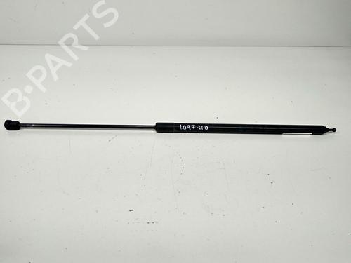 Used Hood lift support RENAULT MEGANE III Hatchback (BZ0/1_, B3_) 1.5 dCi (106 hp) 13954484