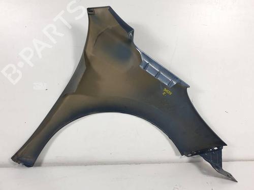Left front fenders PEUGEOT 207 (WA_, WC_) 1.4 HDi | BP29726509C41