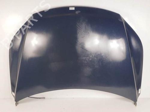 Used Hood VW TIGUAN (5N_) 2.0 TDI 4motion (140 hp) 25295353