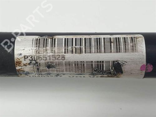  - Image 7