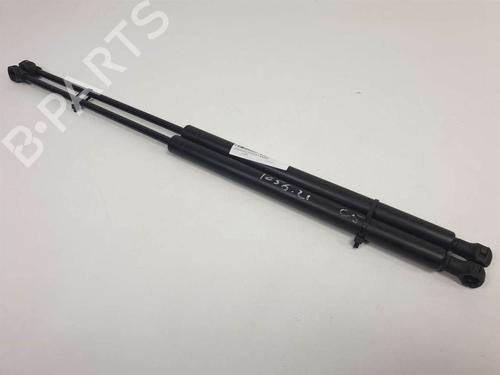 Used Hood lift support Hood lift support CITROËN C5 I (DC_) 2.0 HDi (DCRHZB, DCRHZE) (109 hp) 13954467 13954467