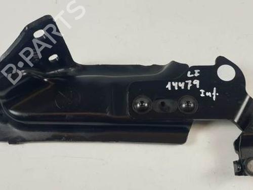 Hinge/Door check strap FORD TRANSIT CONNECT (P65_, P70_, P80_) 1.8 Di | BP29275125C146 