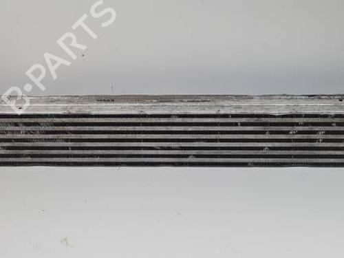 Intercooler RENAULT MEGANE III Hatchback (BZ0/1_, B3_) 1.5 dCi (BZ09, BZ0D, BZ1W, BZ29, BZ14) | BP28508223M30 