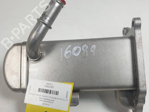 Used Egr Egr CITROËN C5 III (RD_) 2.0 HDi 165 (RDRHHA, RDRHH8) (163 hp) 30959299 30959299