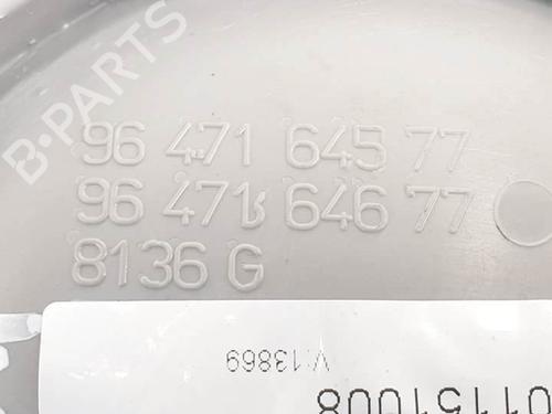 Front left interior door handle CITROËN C3 Pluriel (HB_) 1.6 | BP17545054I13 