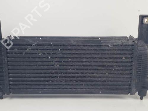 Intercooler NISSAN PATHFINDER III (R51) 2.5 dCi | BP25262851M30 