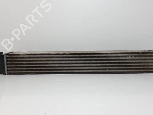 Used Intercooler RENAULT MEGANE III Hatchback (BZ0/1_, B3_) 1.2 TCe (BZ2B, BZ11) (116 hp) 25140835