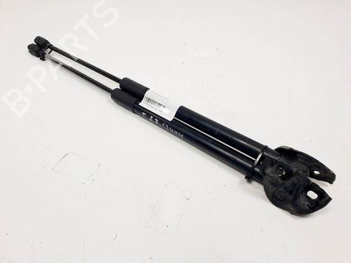 Used Tailgate lift support Tailgate lift support RENAULT MEGANE III Grandtour (KZ0/1) 1.5 dCi (KZ09, KZ0D, KZ1G, KZ29, KZ14, KZ1W, KZ10, KZ1F,... (110 hp) 16491041 16491041
