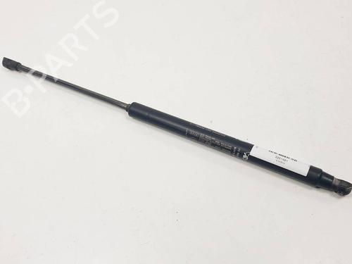 Used Tailgate lift support Tailgate lift support FIAT GRANDE PUNTO (199_) 1.4 T-Jet (199AXM1A, 199BXM1A, 199BXN1A) (120 hp) 30998535 30998535