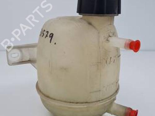 Used Expansion tank RENAULT CLIO II (BB_, CB_) 1.5 dCi (B/CB07) (65 hp) 30313396