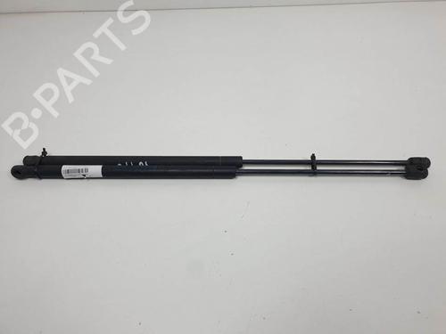 Used Tailgate lift support Tailgate lift support FORD C-MAX (DM2) 1.8 TDCi (115 hp) 13956272 13956272