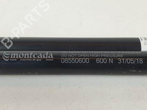 Tailgate lift support RENAULT SCÉNIC II (JM0/1_) 1.5 dCi (JM0F) | BP14977051C138 