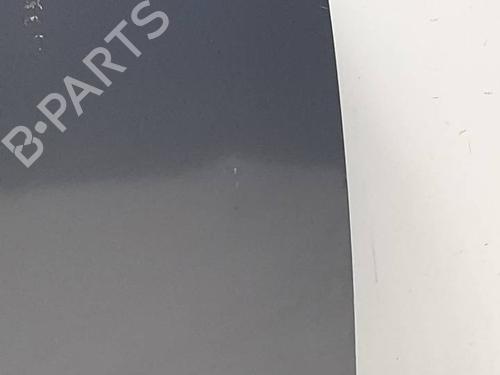 Right front door SEAT IBIZA IV SC (6J1, 6P5) 1.6 TDI | BP29875187C3