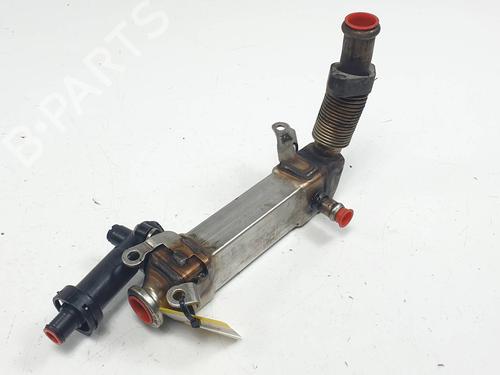 Egr BMW 7 (E65, E66, E67) 730 Ld (231 hp) 29763272