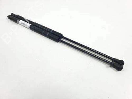 Gasfjeder motorhjelm LEXUS IS II (_E2_) 220d (ALE20) (177 hp) 30525029