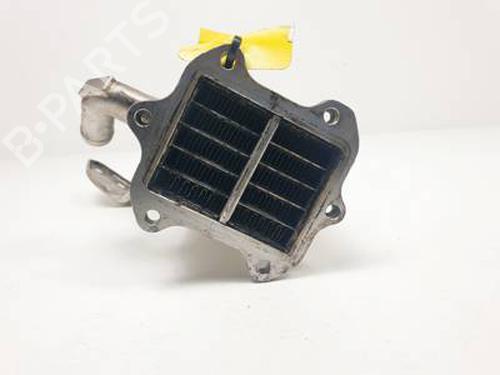 Egr SSANGYONG KORANDO (CK) | BP30998353M69