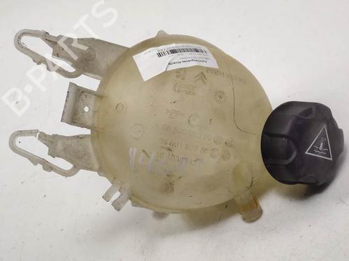 Used Expansion tank CITROËN C3 II (SC_) 1.6 HDi (92 hp) 9295485