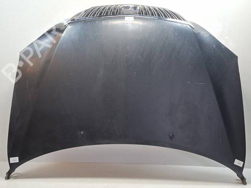 Used Hood Hood LEXUS RX (_U3_) 300 (MCU35_, MCU35R) (204 hp) 40520765 40520765