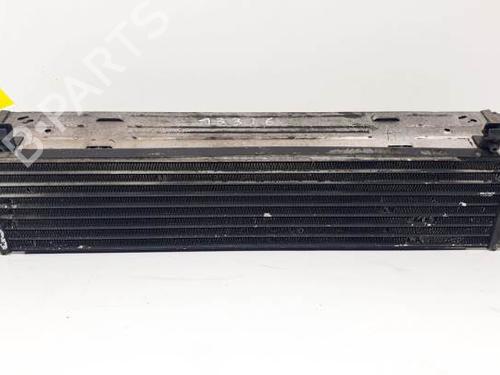Intercooler LAND ROVER RANGE ROVER SPORT I (L320) 2.7 D 4x4 | BP16197705M30 